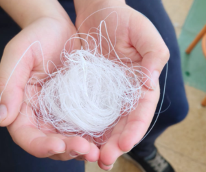 Estudiantes de 5° Básico destacan en la Feria Científica Comunal de Ñuñoa